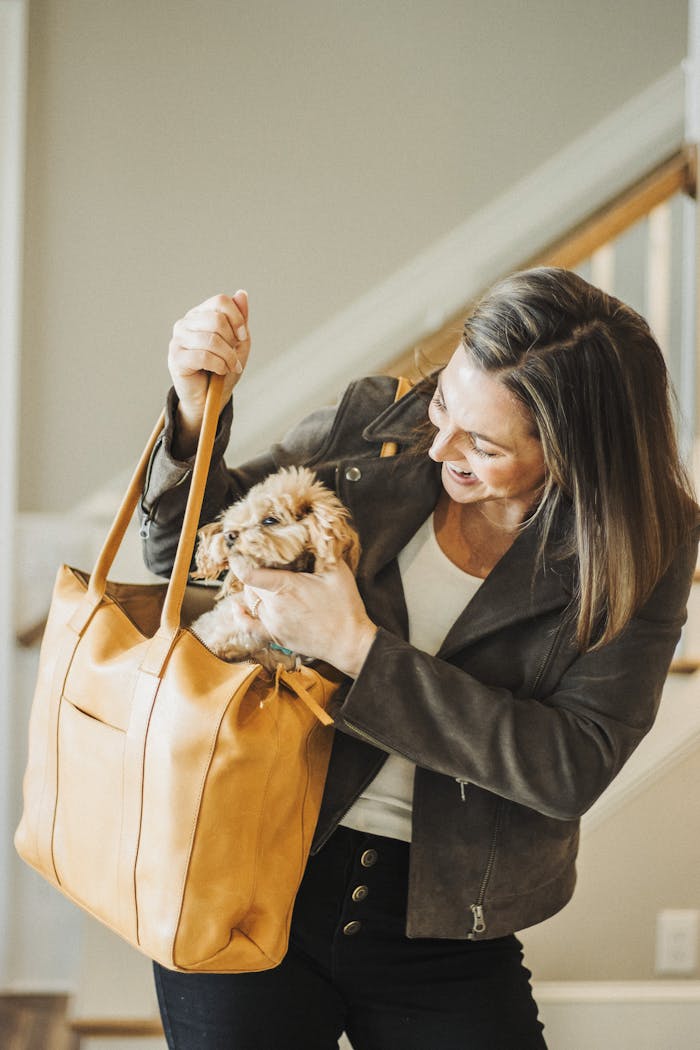 Smiling woman with a small dog in a leather tote bag inside a house. Lifestyle and travel concept.